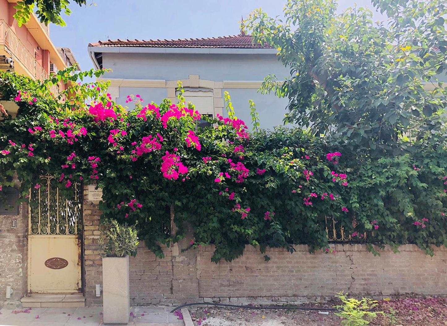 Garden Suites Corfu  Εξωτερικό φωτογραφία